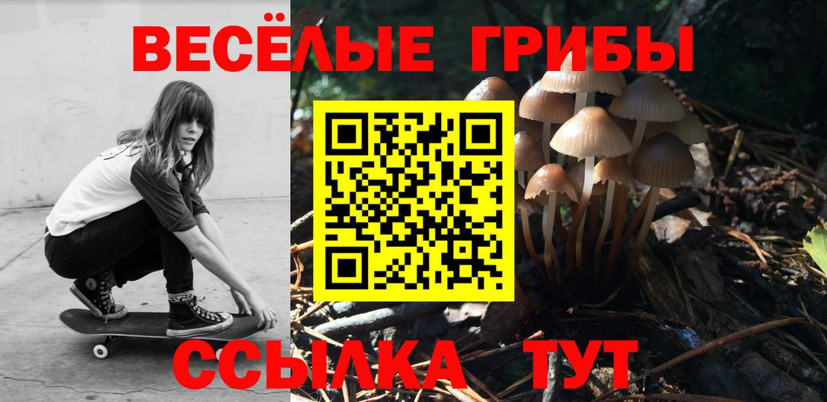 Галлюциногенные грибы Psilocybine cubensis  Вход с VPN  Электросталь 
