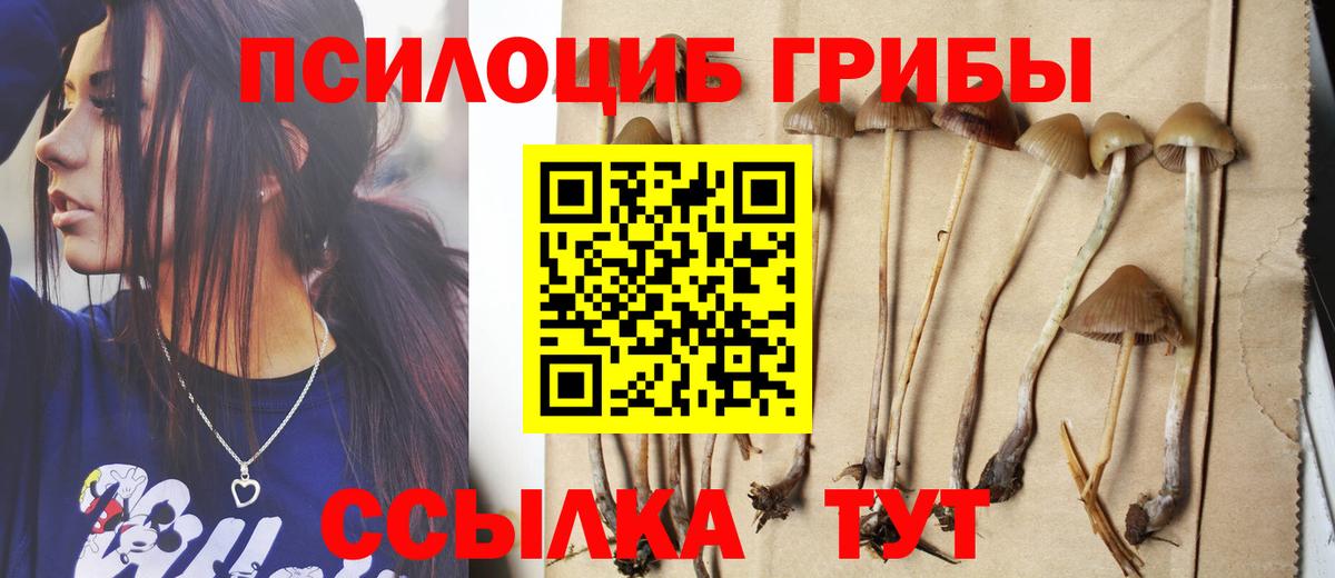 Псилоцибиновые грибы Электросталь